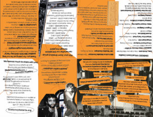 SIMBIG50 Program Zine pages